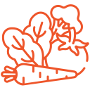 Vegetable